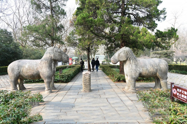 钟山风景名胜区-中山陵园风景区