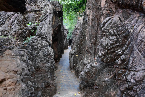 大云雾山旅游区