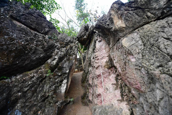 大云雾山旅游区