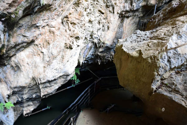 大云雾山旅游区