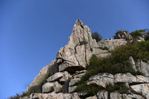 泰山
