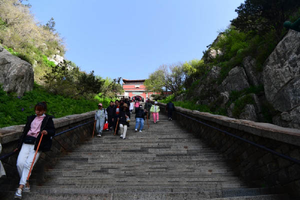 泰山
