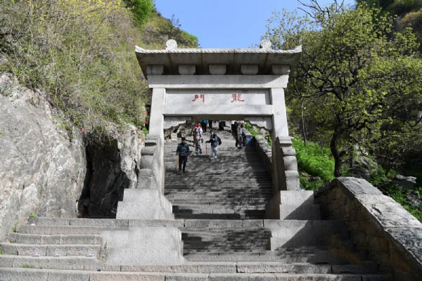泰山