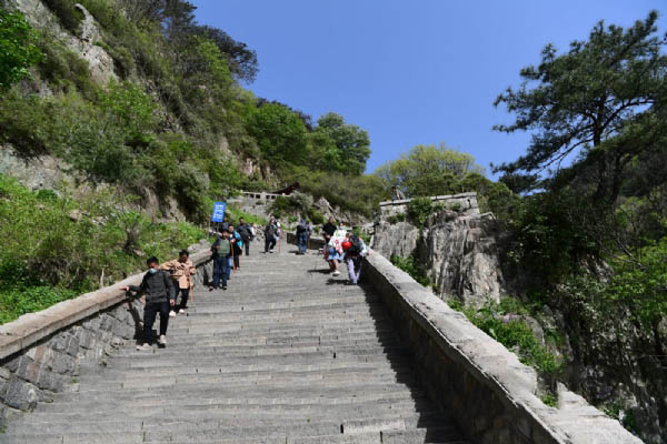 泰山