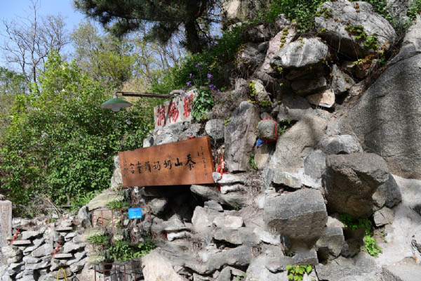 泰山