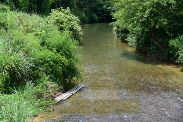 三湾改编景区