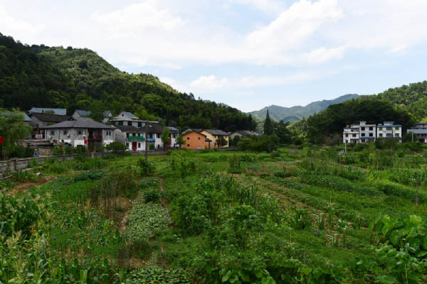 三湾改编景区