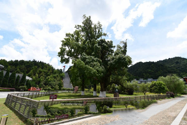三湾改编景区